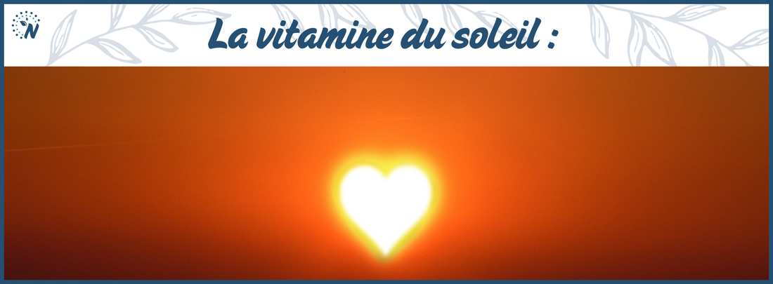 A quoi sert la vitamine D ?