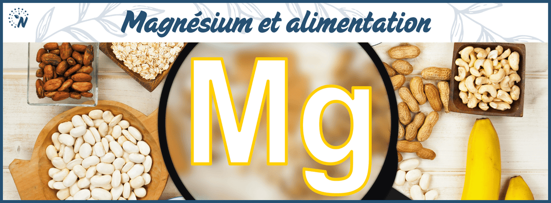 Aliments riches en magnésium : Le guide complet !