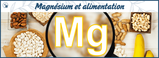 Aliments riches en magnésium : Le guide complet !