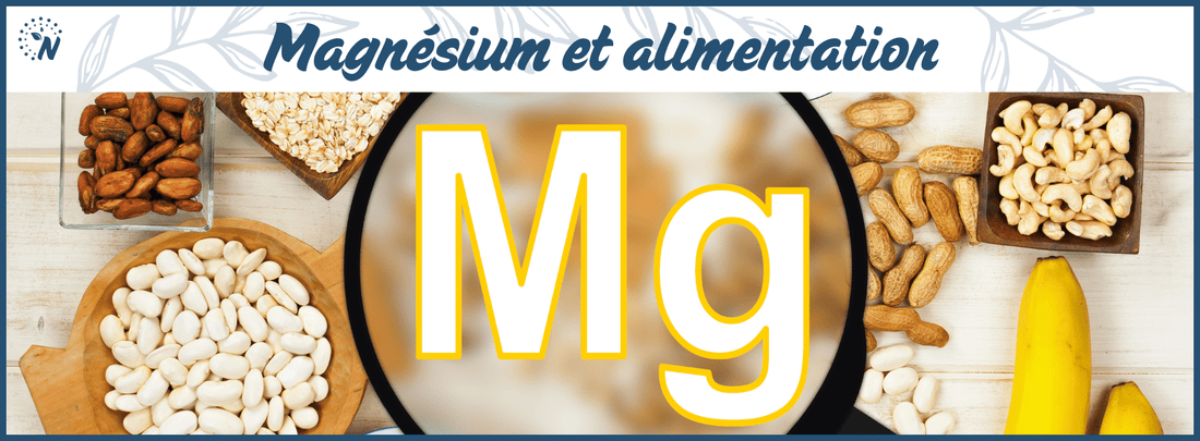 Aliments riches en magnésium : Le guide complet !