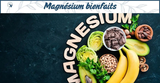 Aliments riches en magnésium, bannière du blog des bienfaits du magnésium