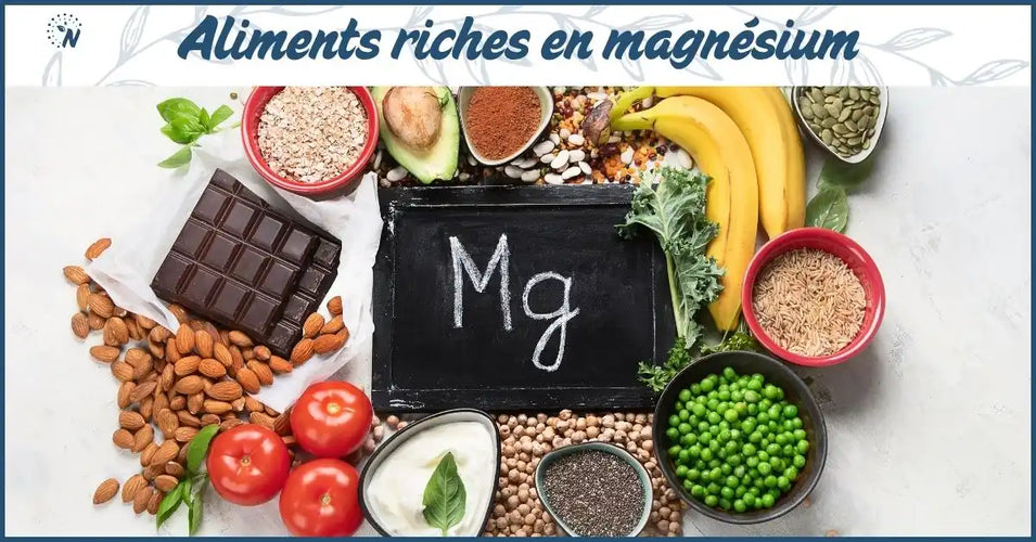 Aliments riches en magnésium : le classement complet