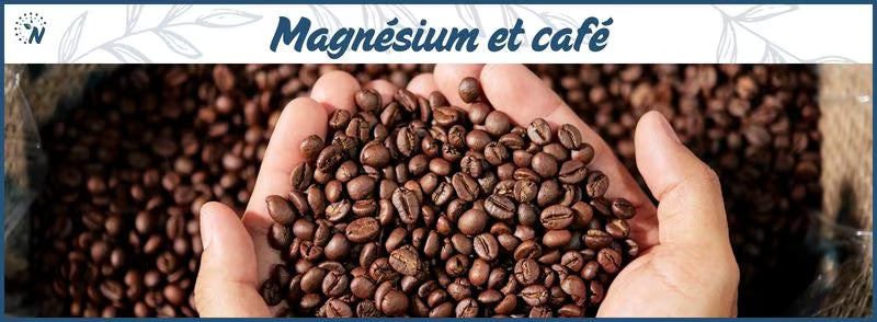 Le lien entre taux de magnésium et consommation de café