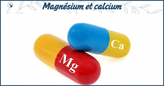 Une gélule de magnésium et une gélule de calcium, bannière du blog sur leur synergie.