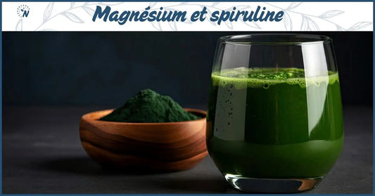 Bannière blog synergie magnésium spiruline