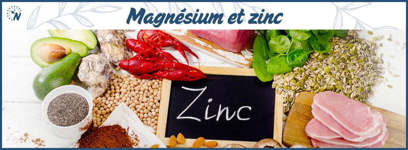 Aliments riches en zinc, synergie avec le magnésium