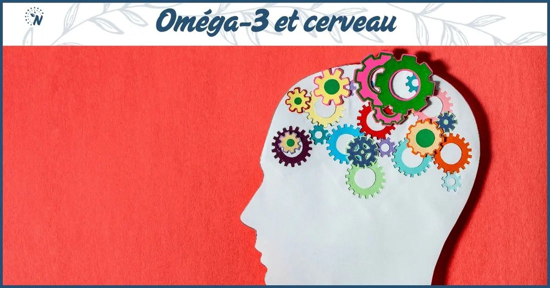Bannière oméga-3 et cerveau, des engrenages dans le cerveaux, montrant son bon fonctionnement grâce aux oméga-3