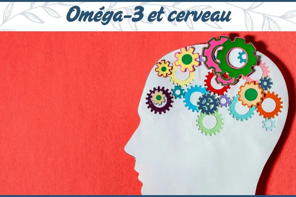 Oméga-3 et cerveau : quels effets réels sur la mémoire et la concentration ?