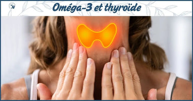 Oméga-3 et thyroïde : comment EPA et DHA soutiennent la fonction thyroïdienne