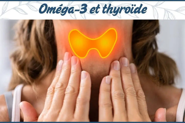 Oméga-3 et thyroïde : comment EPA et DHA soutiennent la fonction thyroïdienne