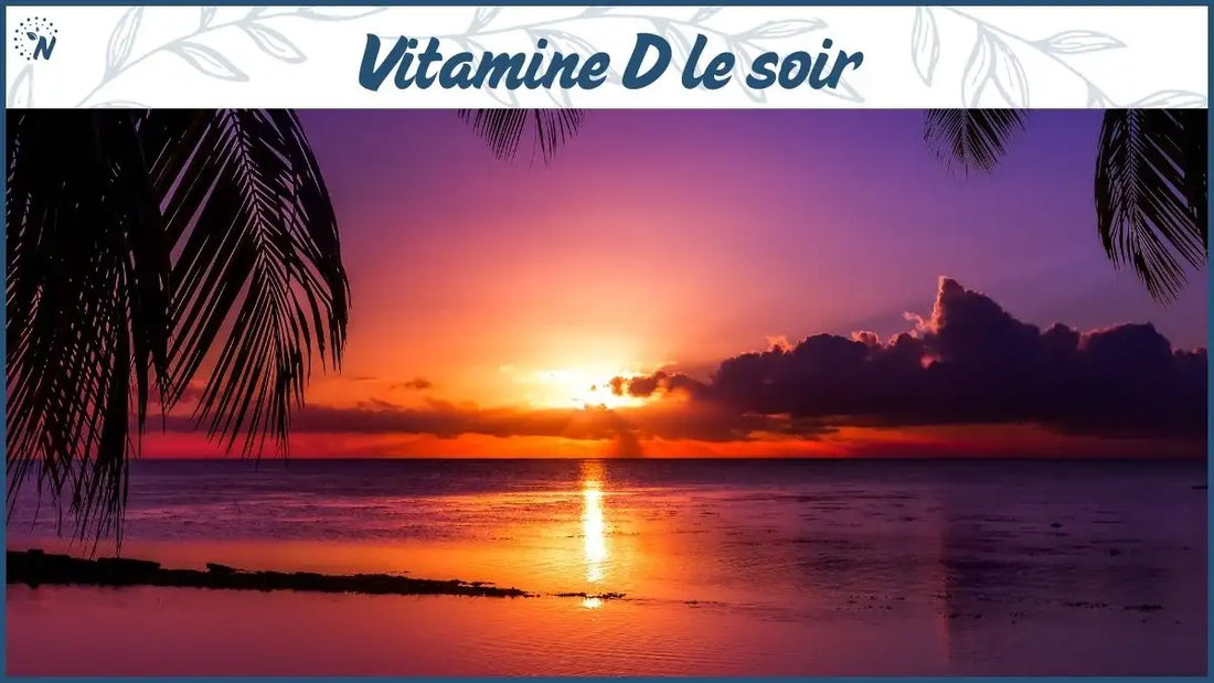 Bannière Vitamine D le soir avec coucher de soleil sur l'océan et palmiers