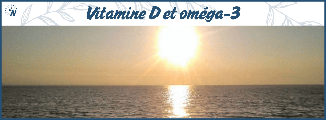 Illustration d’un soleil dont les rayons pénètrent la surface de la mer, symbolisant la synergie entre la vitamine D et les oméga-3.