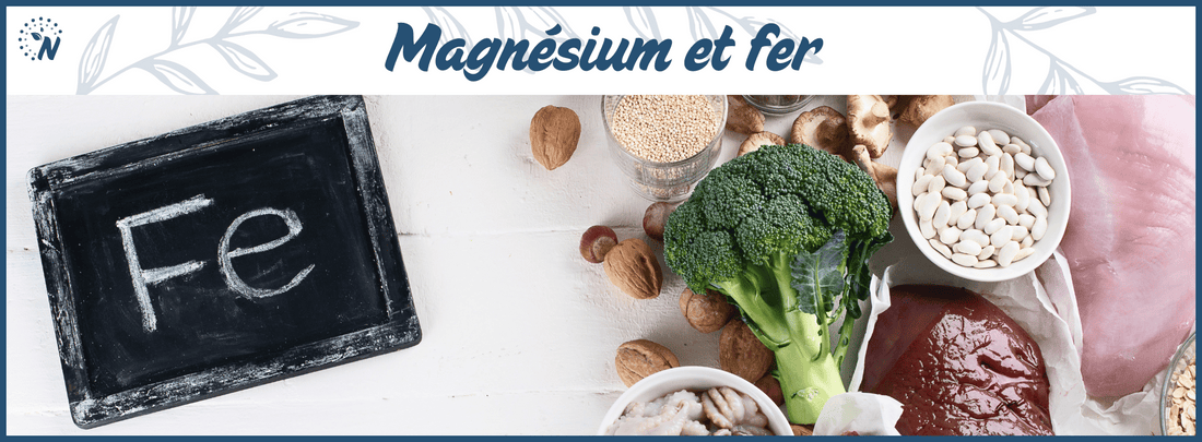 Aliments riches en magnésium et en fer, illustration de leur synergie nutritionnelle