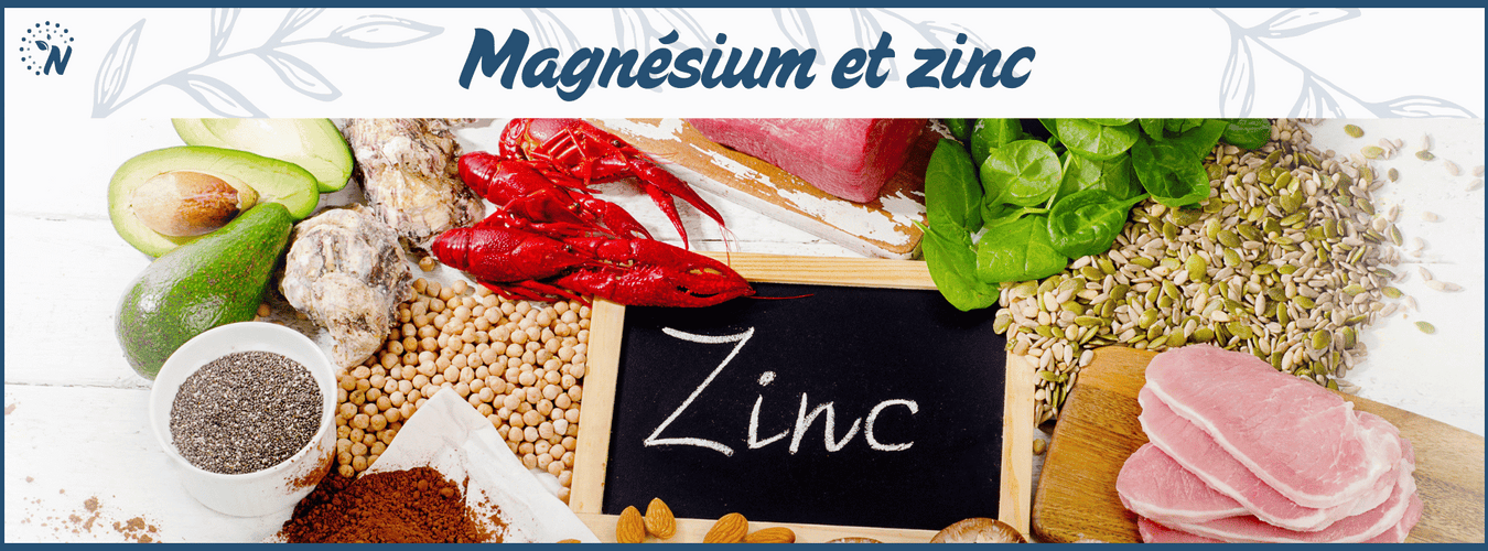Magnésium et zinc : bienfaits, synergies et conseils de supplémentation