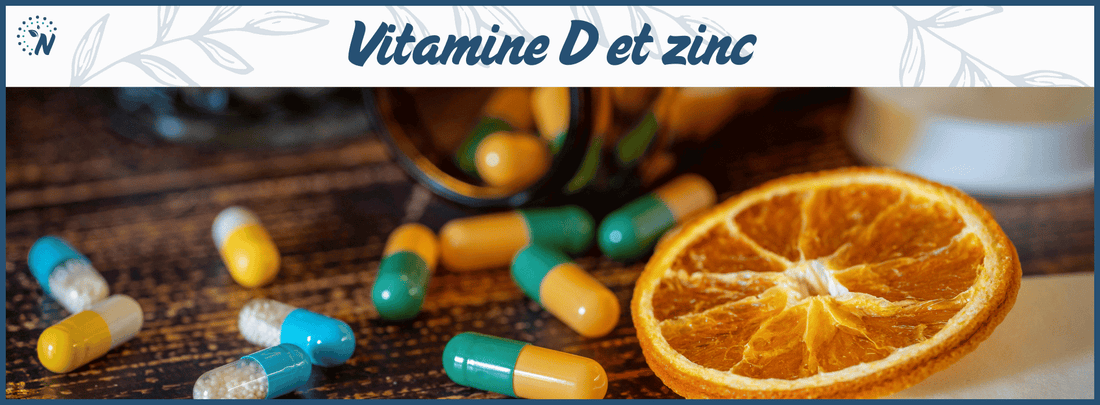 Des compléments alimentaires de zinc et de vitamine D, bannière de l'article de blog dédié a leur synergie