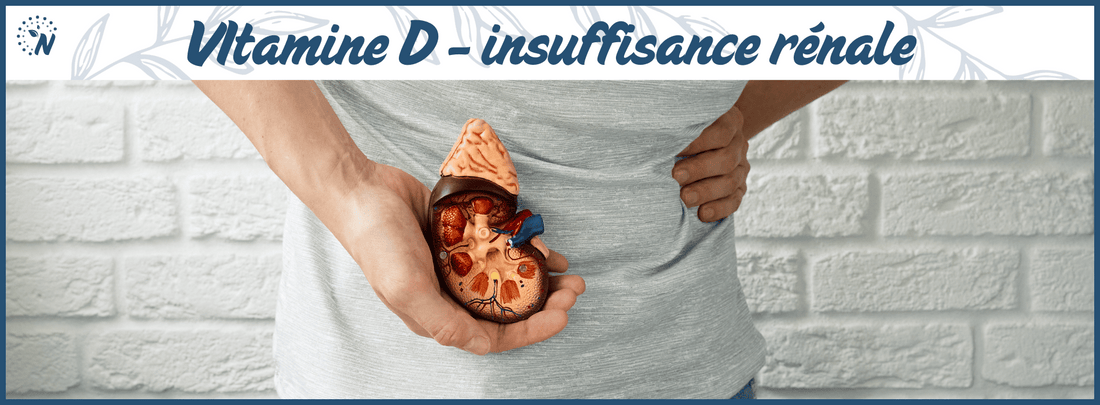 Illustration d'une insuffisance rénale, mise en avant du lien entre insuffisance rénale et vitamine D