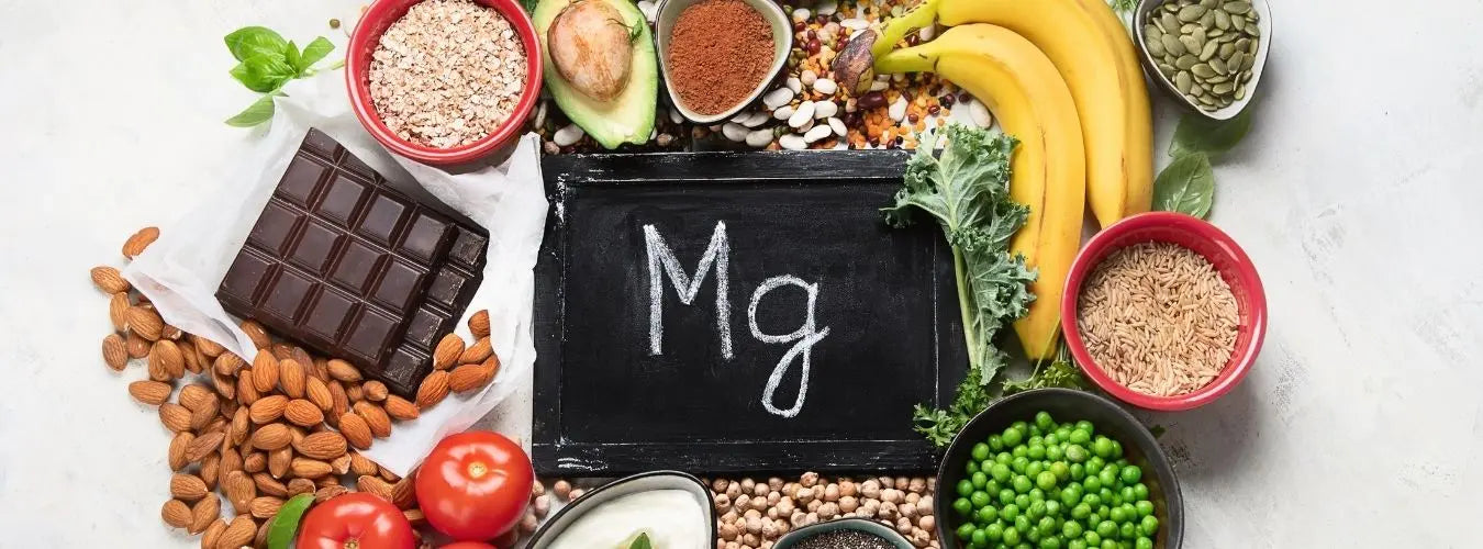 Aliments riches en magnésium pour augmenter ses apports