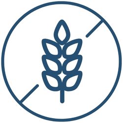 Icône indiquant que les produits Nutrioxy sont sans gluten