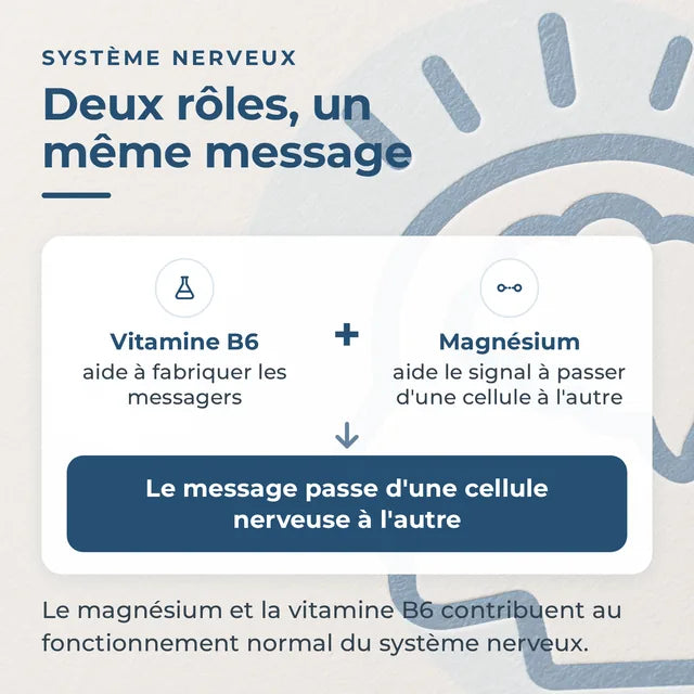 Infographie des rôles de la vitamine B6 et du magnésium