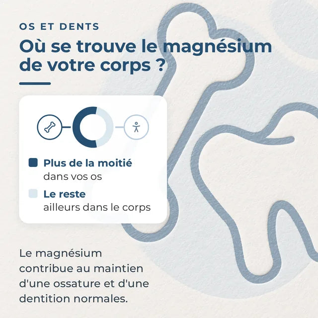 Infographie de la répartition du magnésium dans le corps